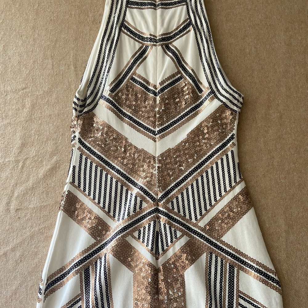 Express Dress - Picture 3 of 5